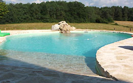 Piscine forme libre - Jura 39